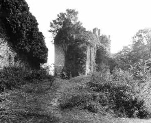 Environs de Laval Montjean : la Lanfrière, ruines du château