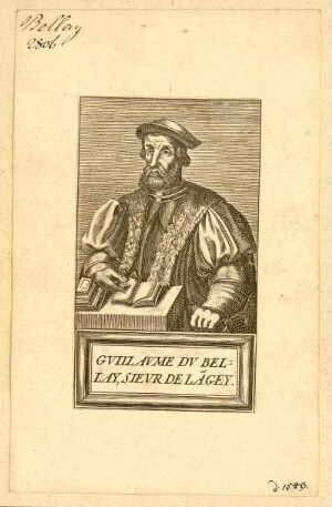 Guillaume du Bellay, sieur de Lagey [sic]
