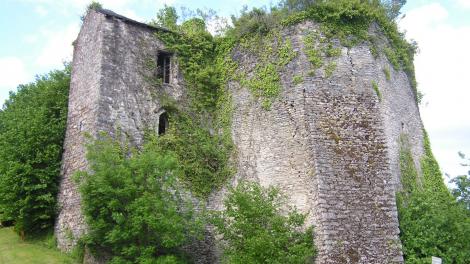 L'ensemble des publications de La Mayenne, Archéologie, Histoire en ligne